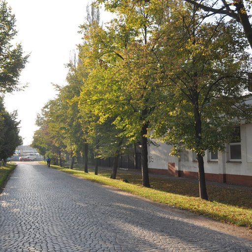 Trnkobraní je vrchol sezony - přitáhneme více turistů k našim tradicím